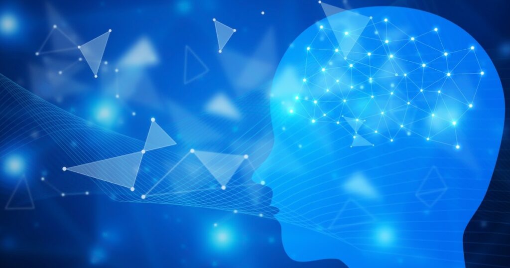 脳の発達イメージ